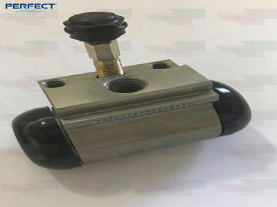 CILINDRO DE RODA TRAS. FIAT 2012..  -PERFECT  - CIR0104