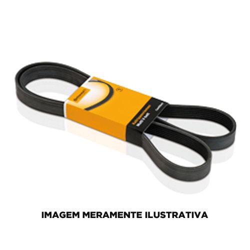 CORREIA ALTERNADOR KIA PICANTO 06-08 - CT4PK0870