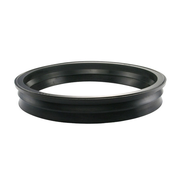 GAURNICAO DA FLANGE DO MODULO DE COMBUSTIVEL FORD COURIER ECOSPORT - DS 1458  