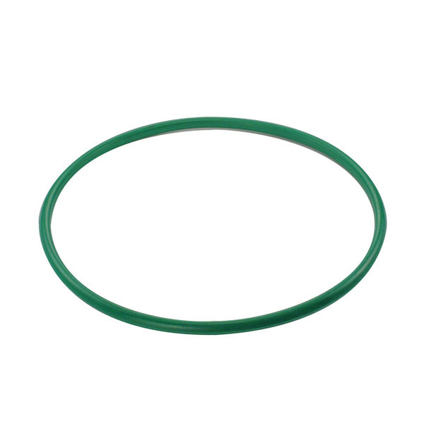 GUARNICAO DA FLANGE DO MODULO DE COMBUSTIVEL CITROEN E PEUGEOT - DS 1459  