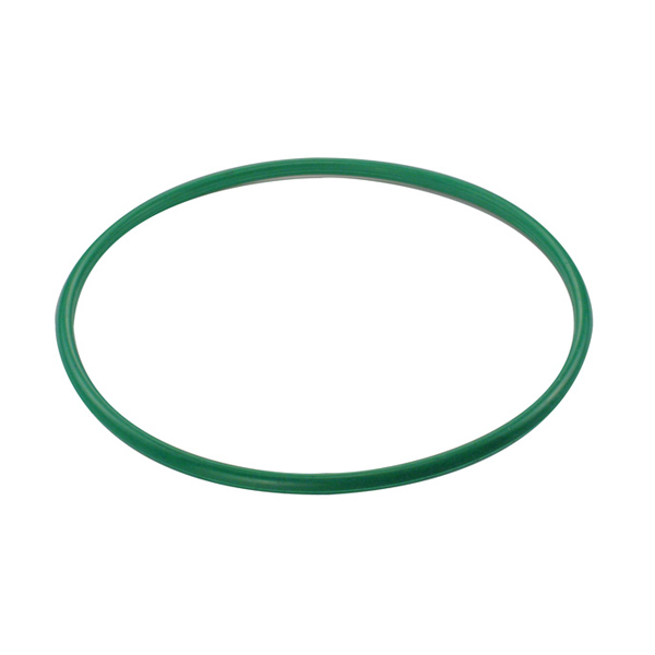 GUARNICAO DA FLANGE DO MODULO DE COMBUSTIVEL RENAULT SANDERO, CLIO E DUSTER - DS 1462  