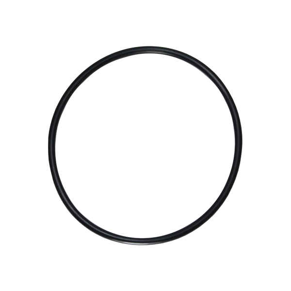 GUARNICAO DA FLANGE DO MODULO DE COMBUSTIVEL GM S10 E TRAILBLAZER - DS 1467  