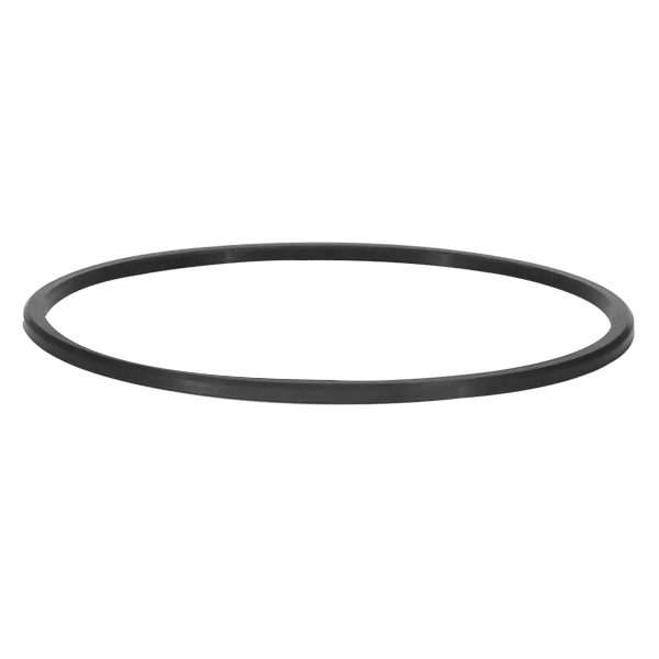 GUARNIÇÃO DA FLANGE DO MÓDULO DE COMBUSTÍVEL FORD F-250, F-350 - DS 1474  