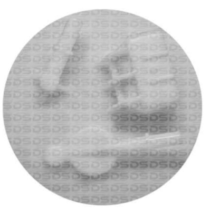 FLANGE MODULO COMBUSTIVEL GM CORSA, MERIVA, CELTA - DS2416