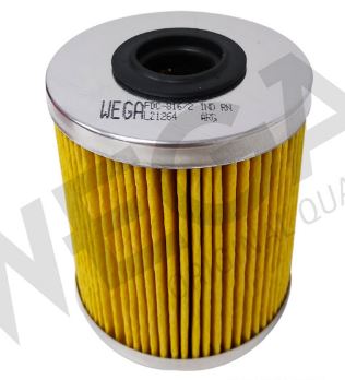 FILTRO COMBUSTIVEL RENAULT MASTER 2.3 2.5 06 - FCD0816/2 