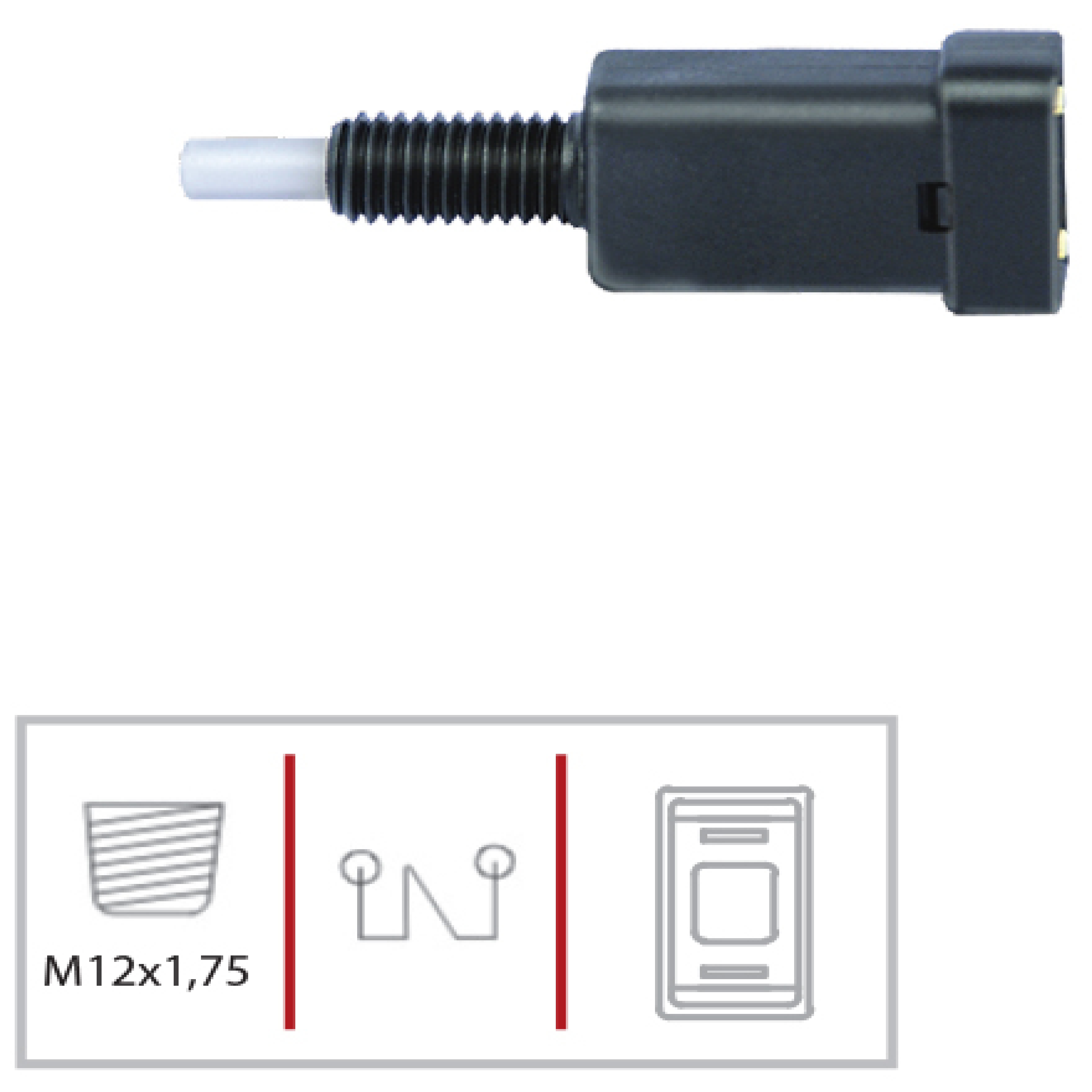 INT LUZ FRE  FORDESCOVERONA-VW (375)