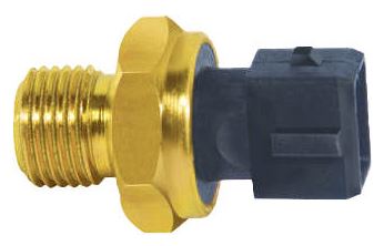 INT PRESS OLEO PEUG106/306/405/406