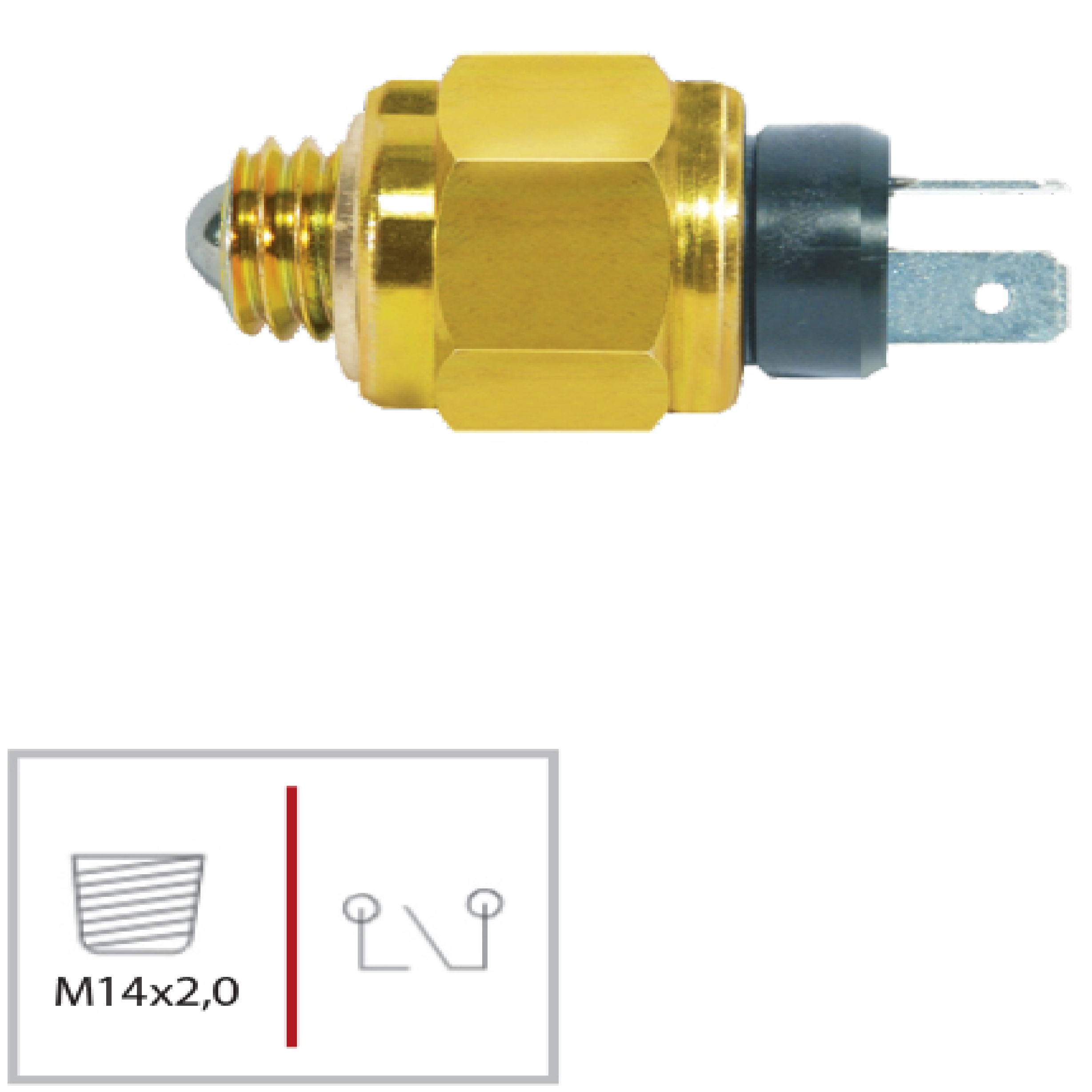 INT LUZ RE VW-ONIBCAMAP86/CAMINH(4468)