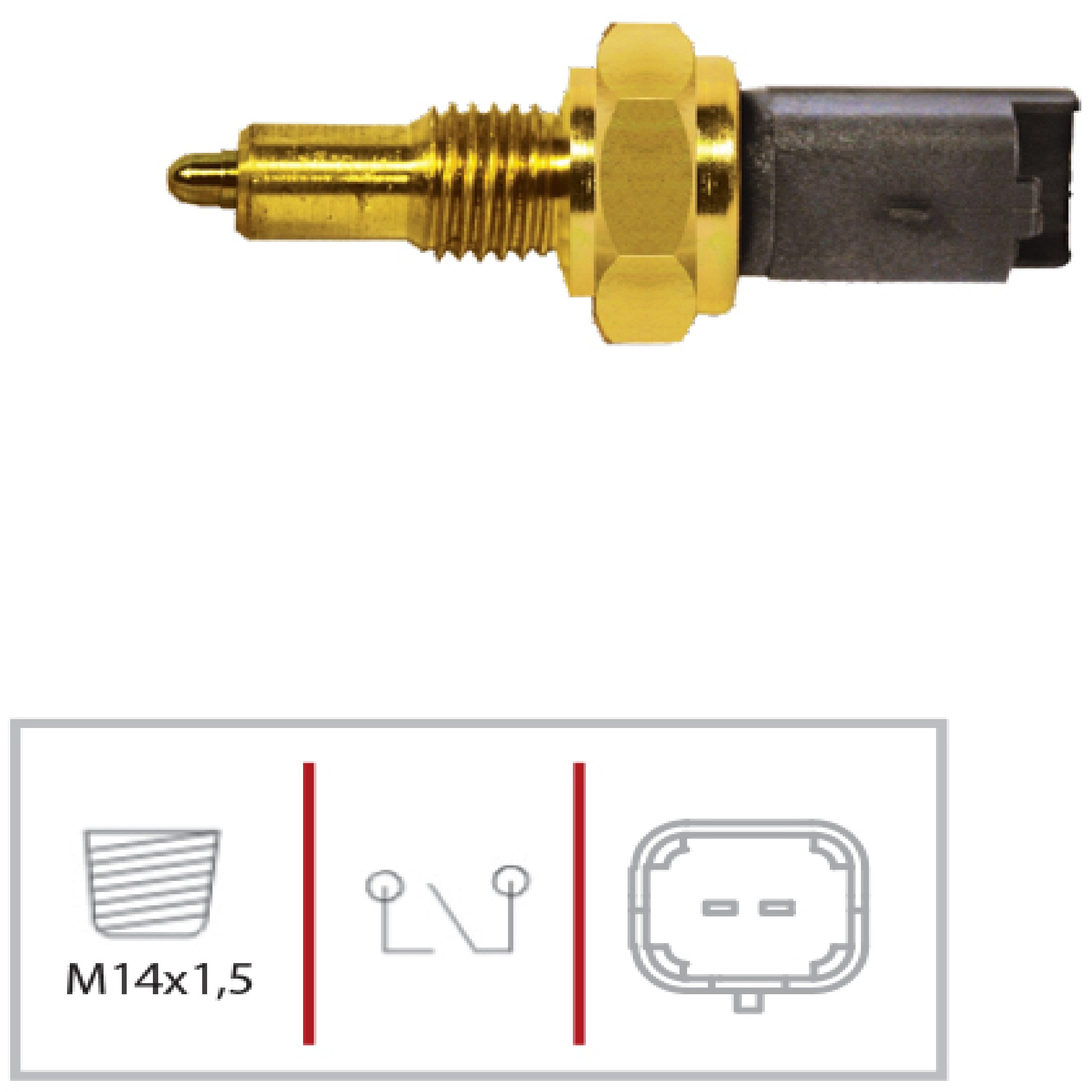 INT LUZ DE RE C3/DUCATO/206/307