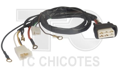 CONECTOR IGNICAO ELETRONICA OPALA /CARAVAN MODULO - TC5000134