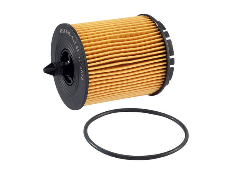 FILTRO OLEO GM ALFA ROMEO - WOE312  ( PEL119 )