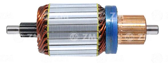 INDUZIDO M100 24V 12 DENTES AGRALE, FORD, IVECO - ZM8348003 ZM